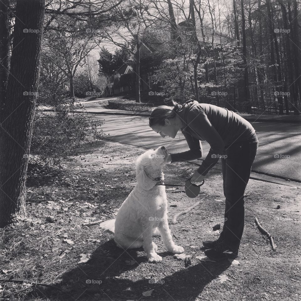 Walking a Golden Doodle on a sunny February day around the neighborhood, edited black and white.