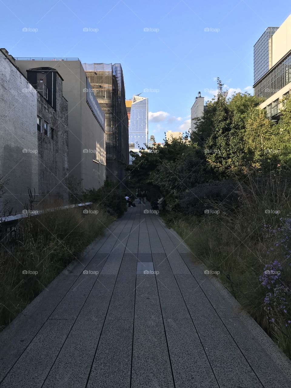 The High Line in New York City