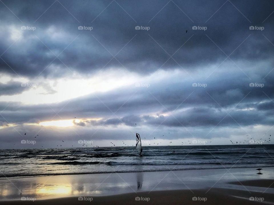 Sea sports in Caparica. 
Birds flying through the sunshine.