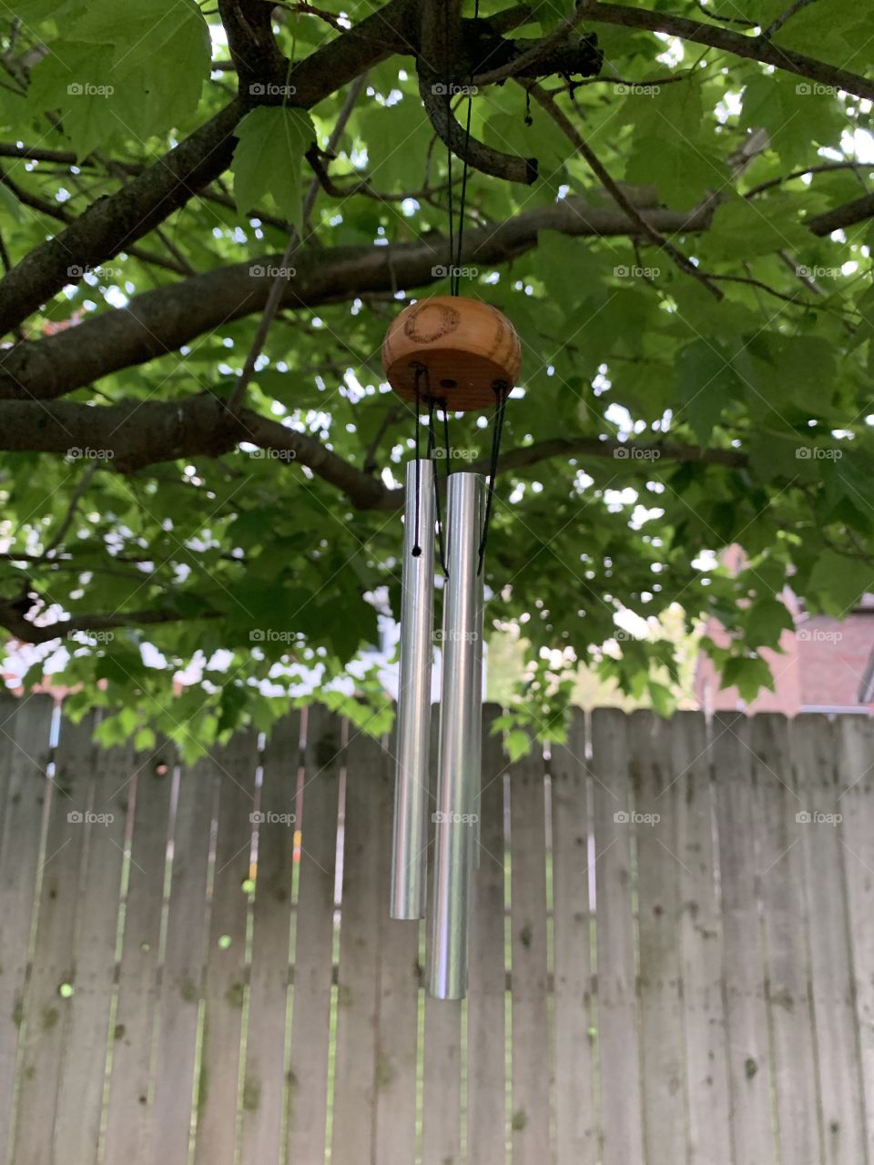 Wind chime in green tree with wooden fence 