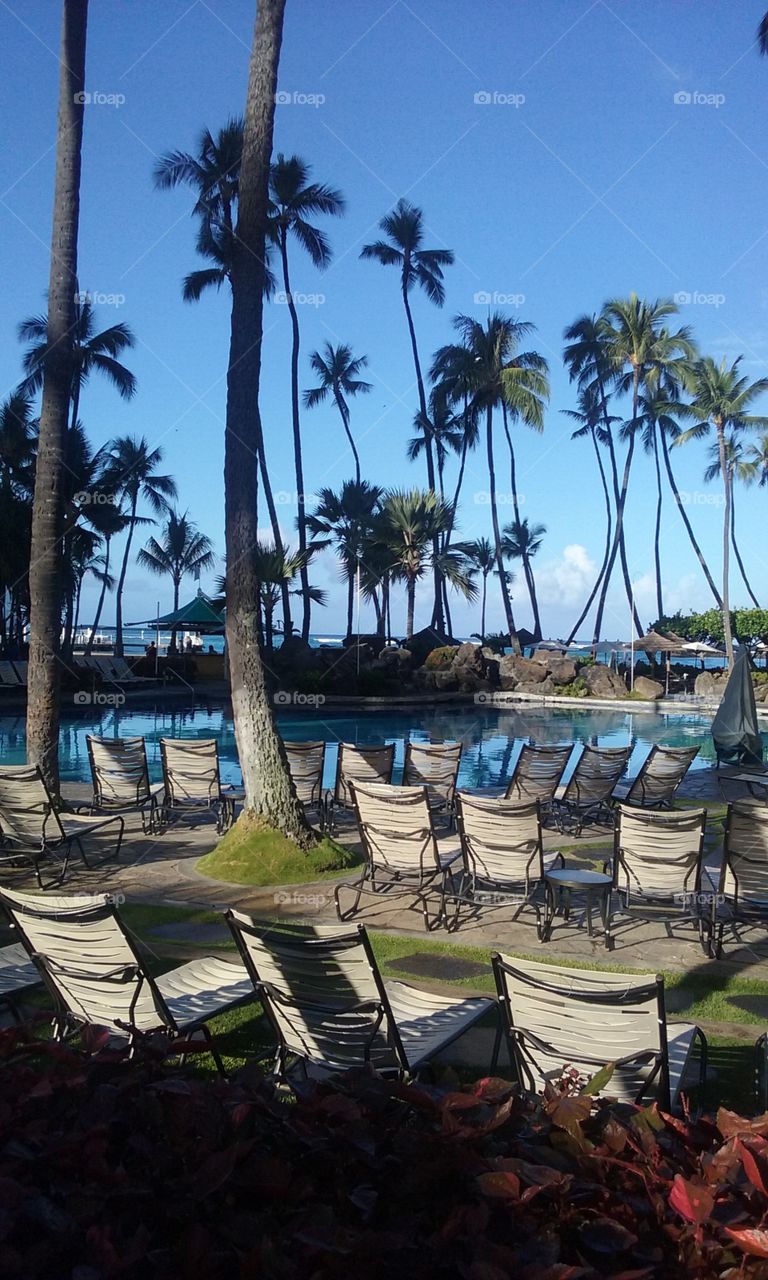 Poolside in Hawaii