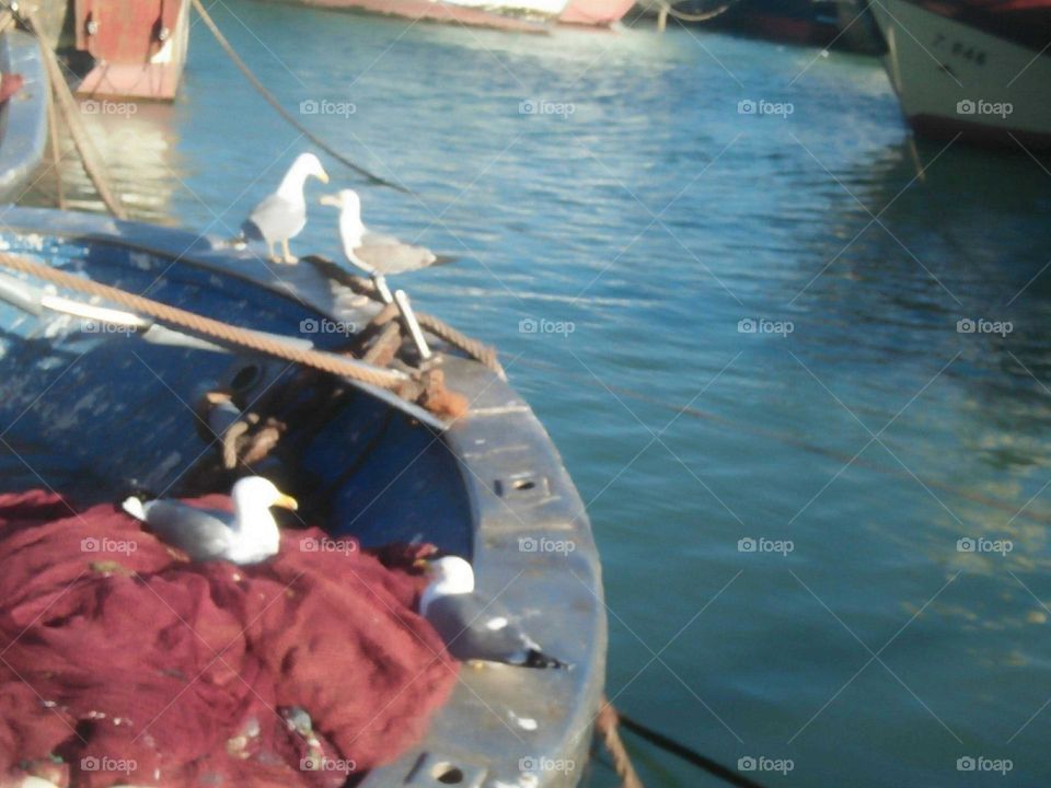 A big ship at essaouira harbour in Morocco.