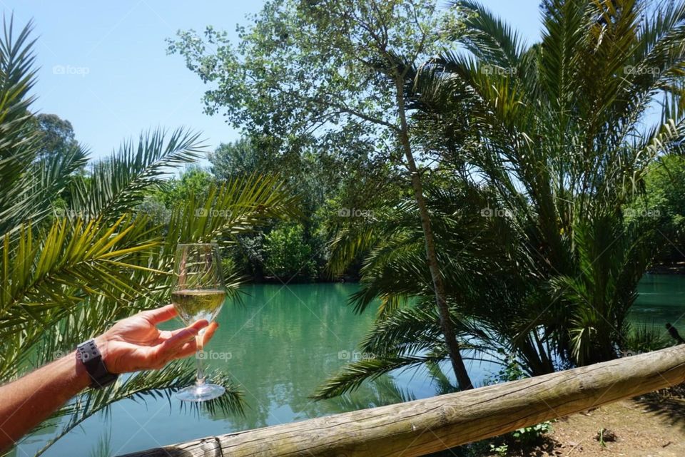 Wine#glass#lake#hand#nature