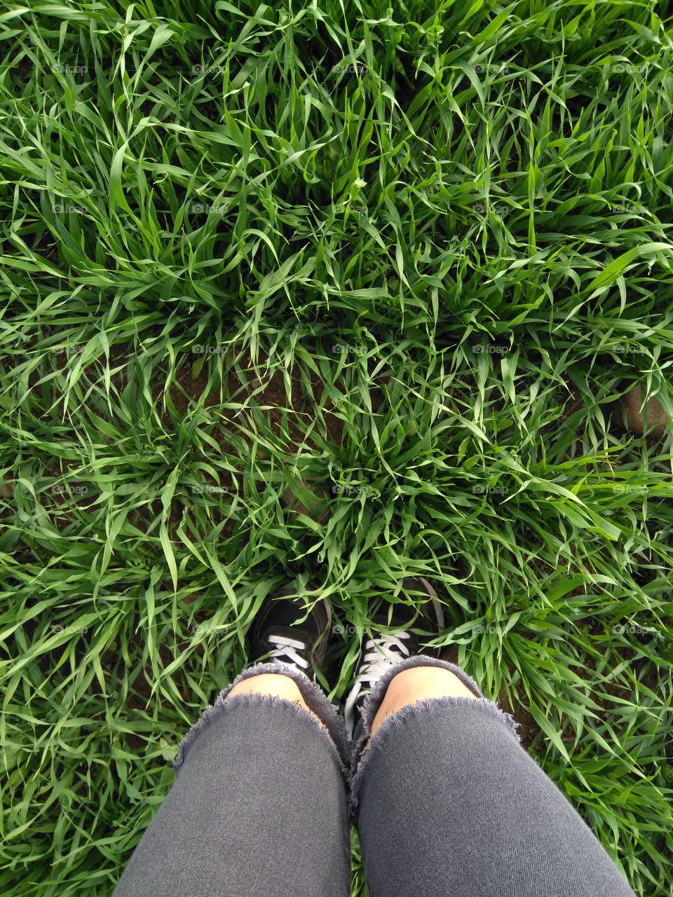 female legs shoes top view green grass summer background