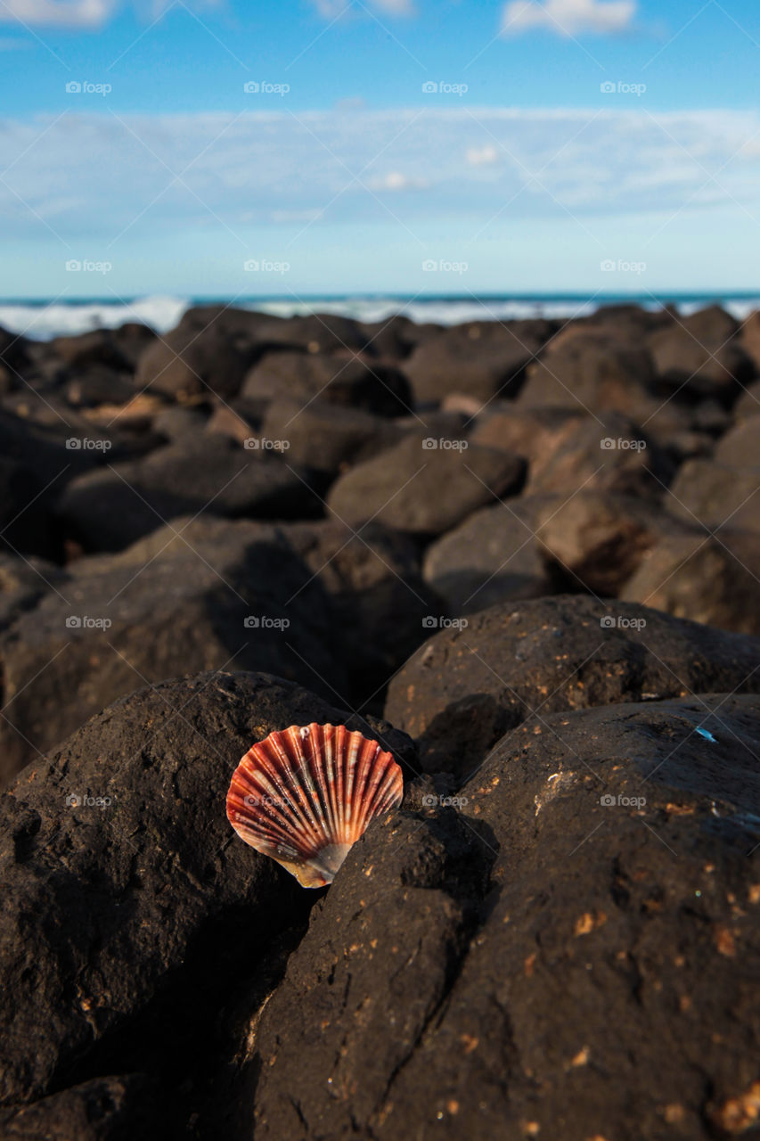 Let the vacation begin 