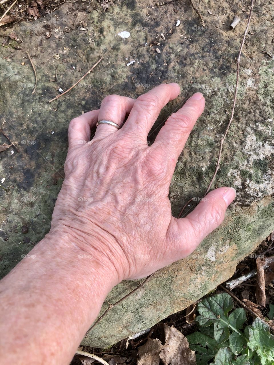 Grounding myself in the natural world 