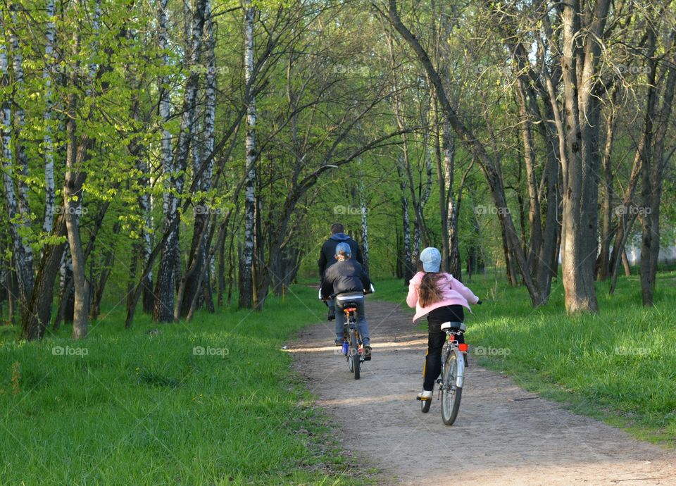 family riding on a bikes in the green park landscape