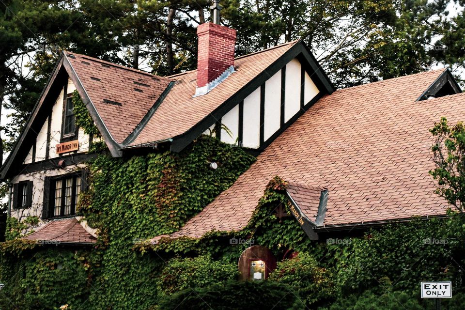 It has always been my dream to live in a house like this, covered with vines! Someday!