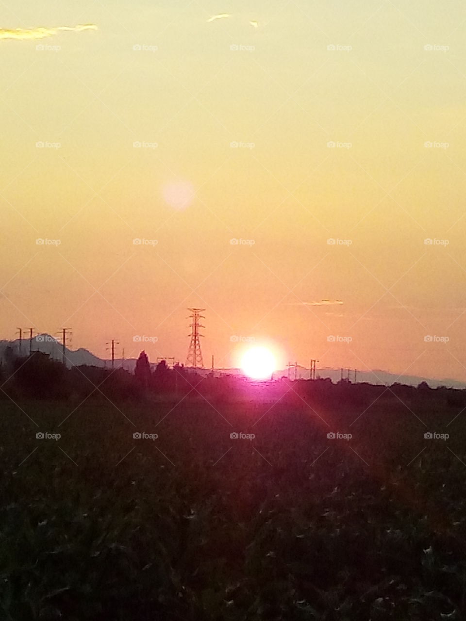 bello atardecer en el campo