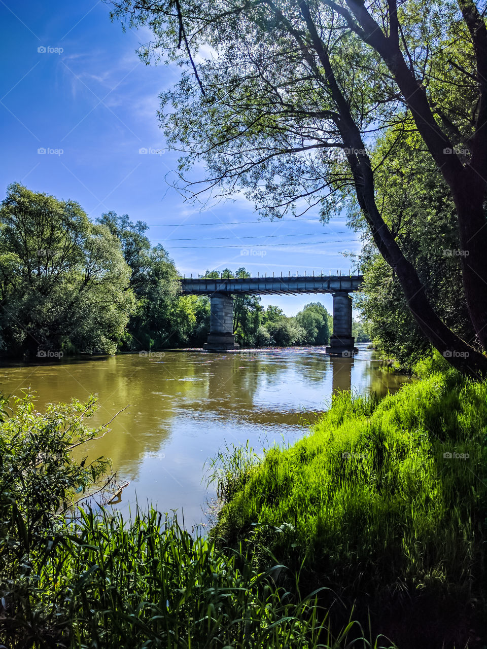 View of a bridge over lake