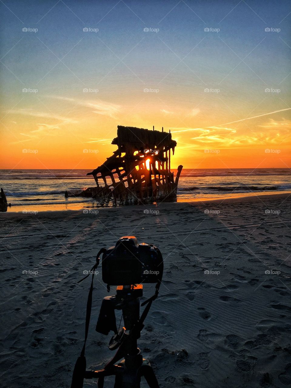 the wreck of the Peter Iredale