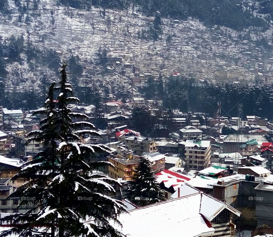 beautiful view from hotel I was staying in manali, India.