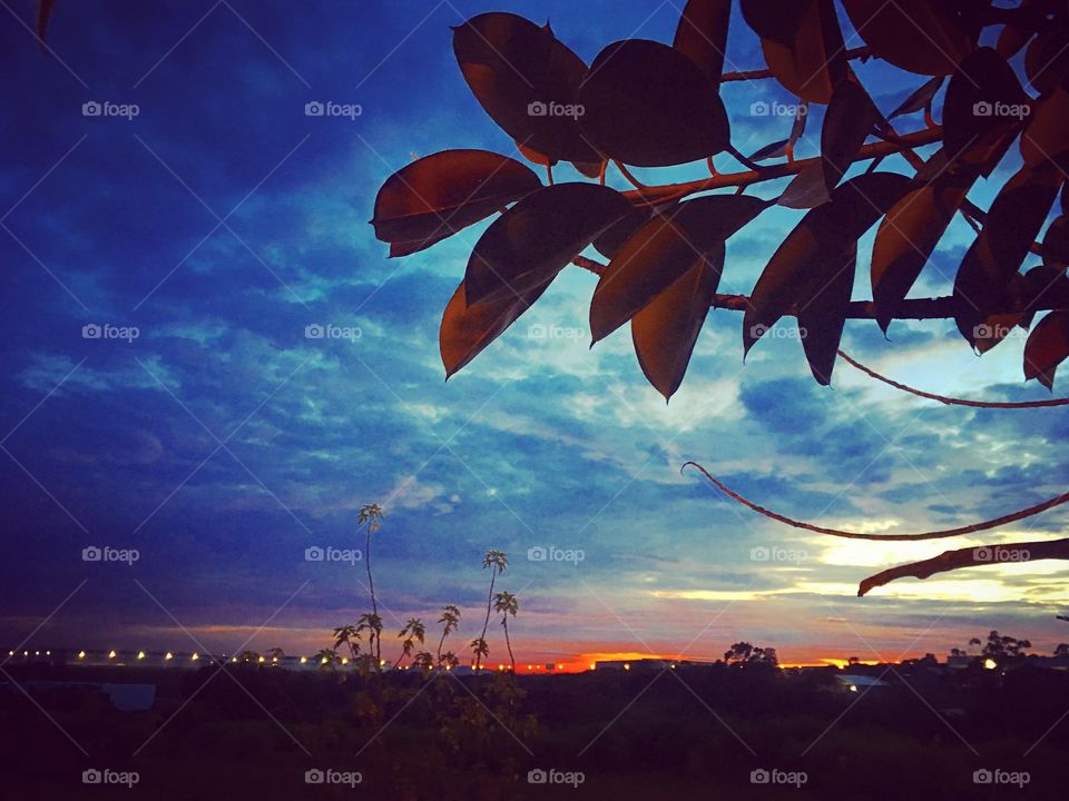 Desperte, #Jundiaí. 
Agora 05h30, e a semana clareou! Que tenhamos uma ótima 2a.
🍃
#sol #sun #sky #céu #photo #nature #morning #alvorada #natureza #horizonte #fotografia #pictureoftheday #paisagem 