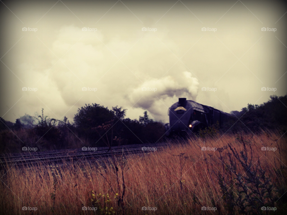 train steam by Zestine