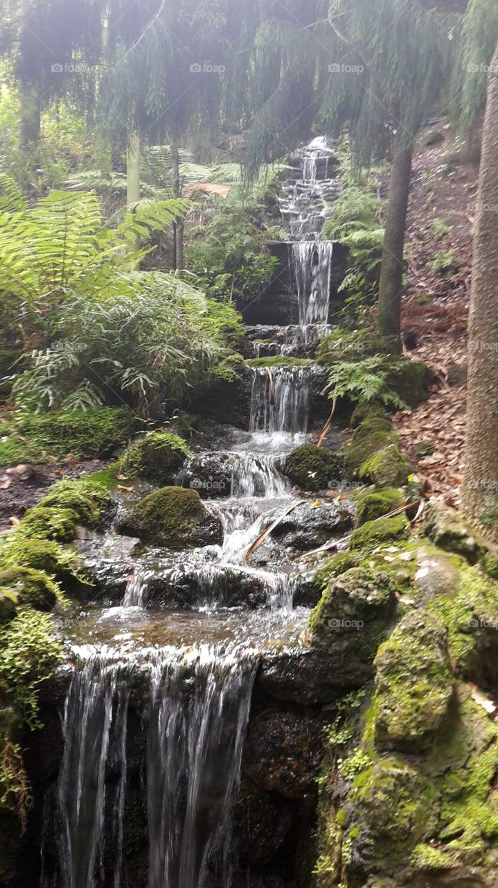 Waterfall in the Botanical Gardens in Napier  NZ. Tucked away in a sunken valley for all to enjoy.