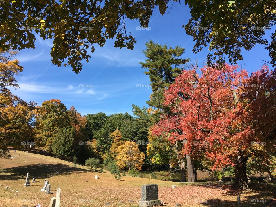 Cemetery in the fall