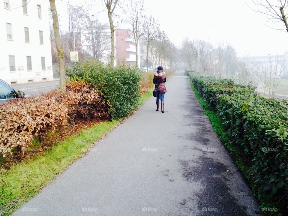 Riverside Walk. Pavia, Italy