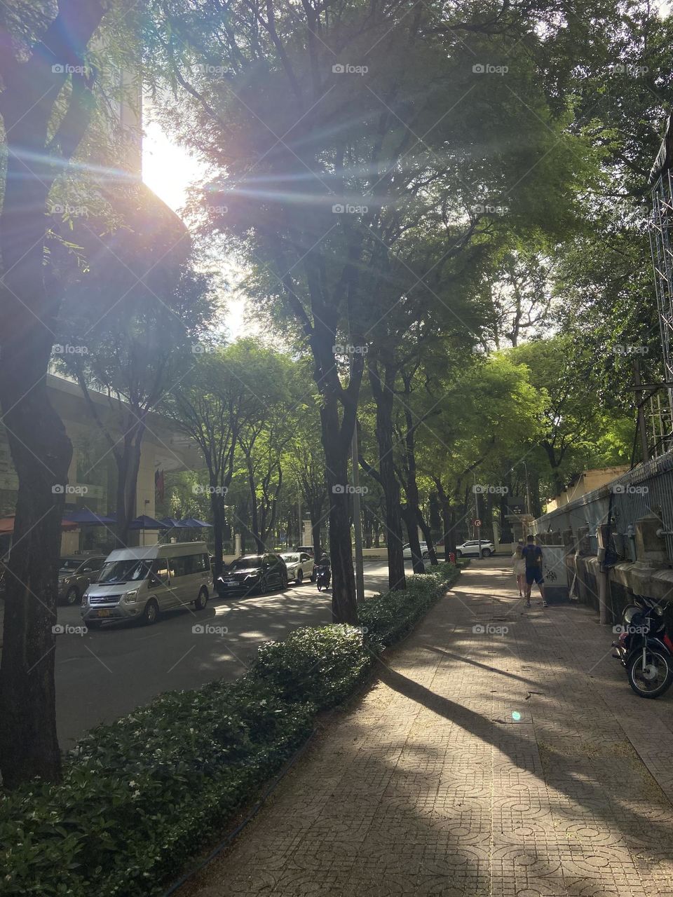 Tree covers roads of Ho chi min city 