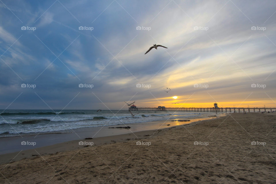 Huntington Beach sunset birds pier