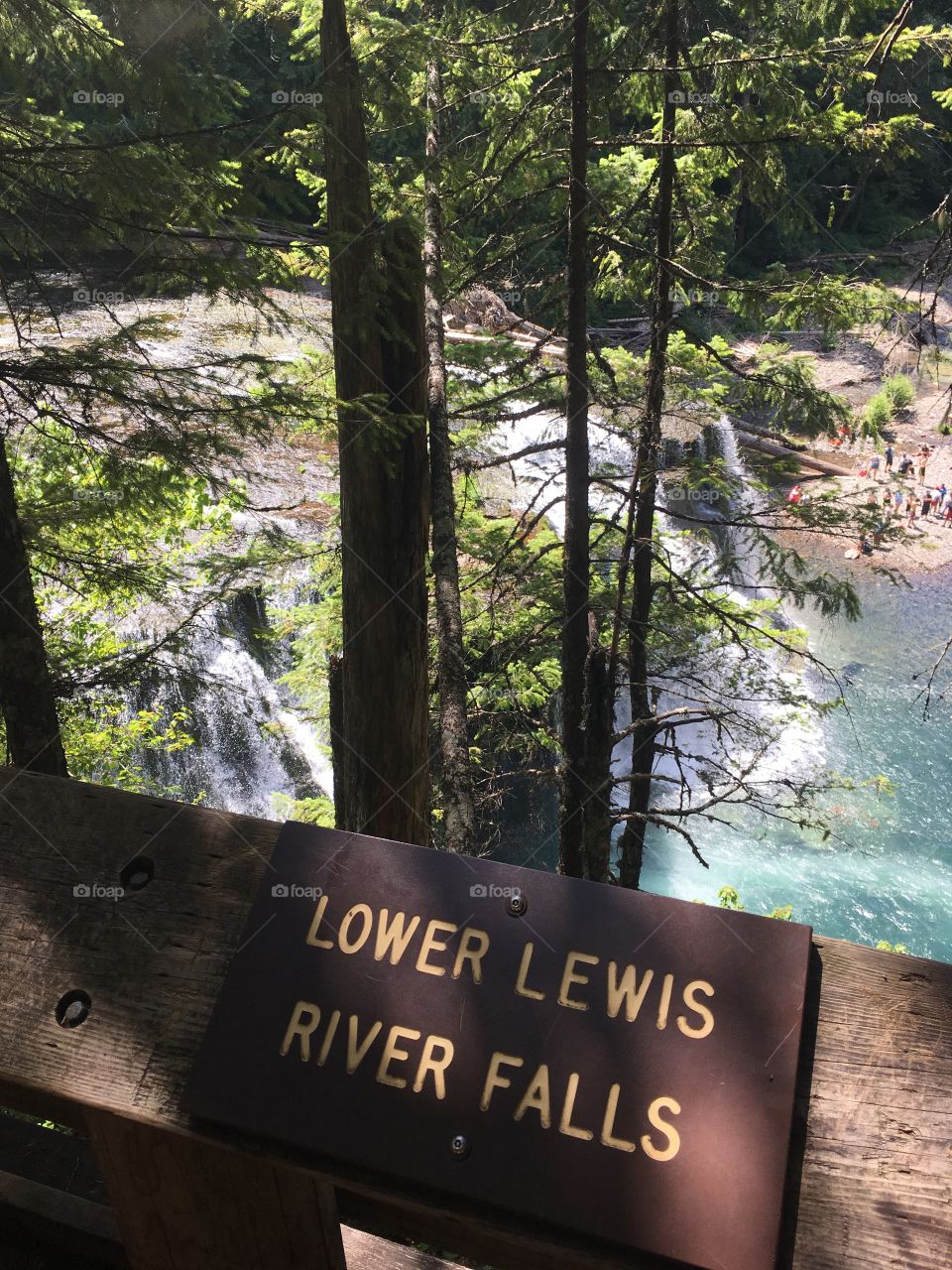 Lower Lewis river falls 