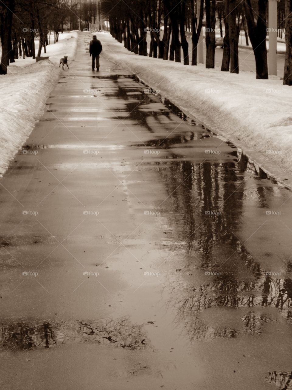 streetscape walk winter