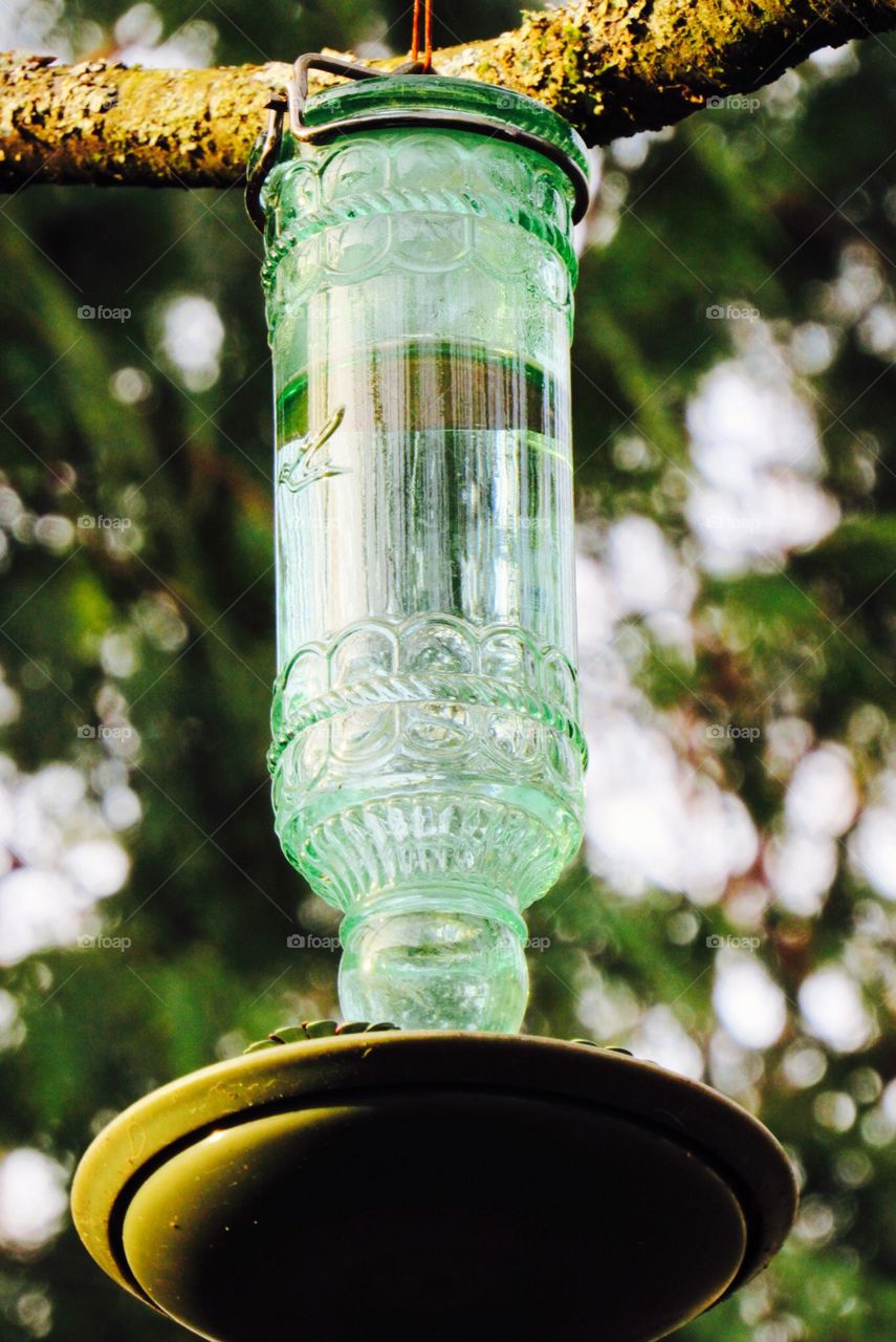 Humming bird feeder 