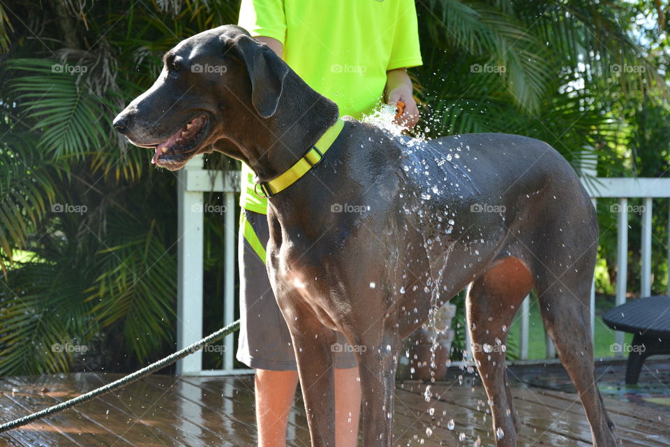 Bath time 