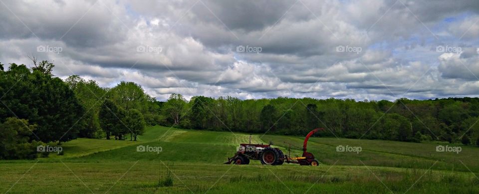 Landscape, No Person, Agriculture, Grass, Tree