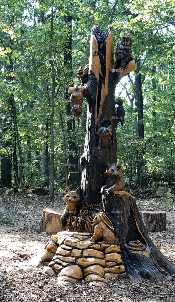 Woodland Animals Carved on Tree Trunk - Annandale Community Park - Virginia