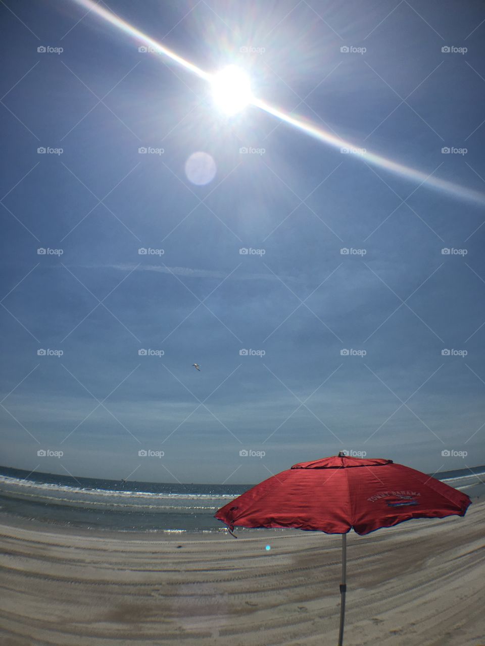 Sunshine,beach,umbrella 