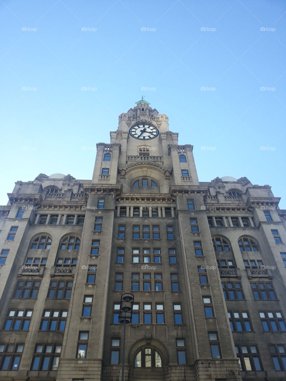 The liver building