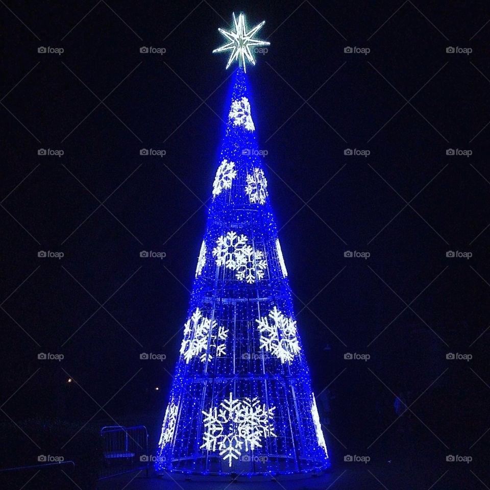 Christmas tree at Discovery Kingdom
