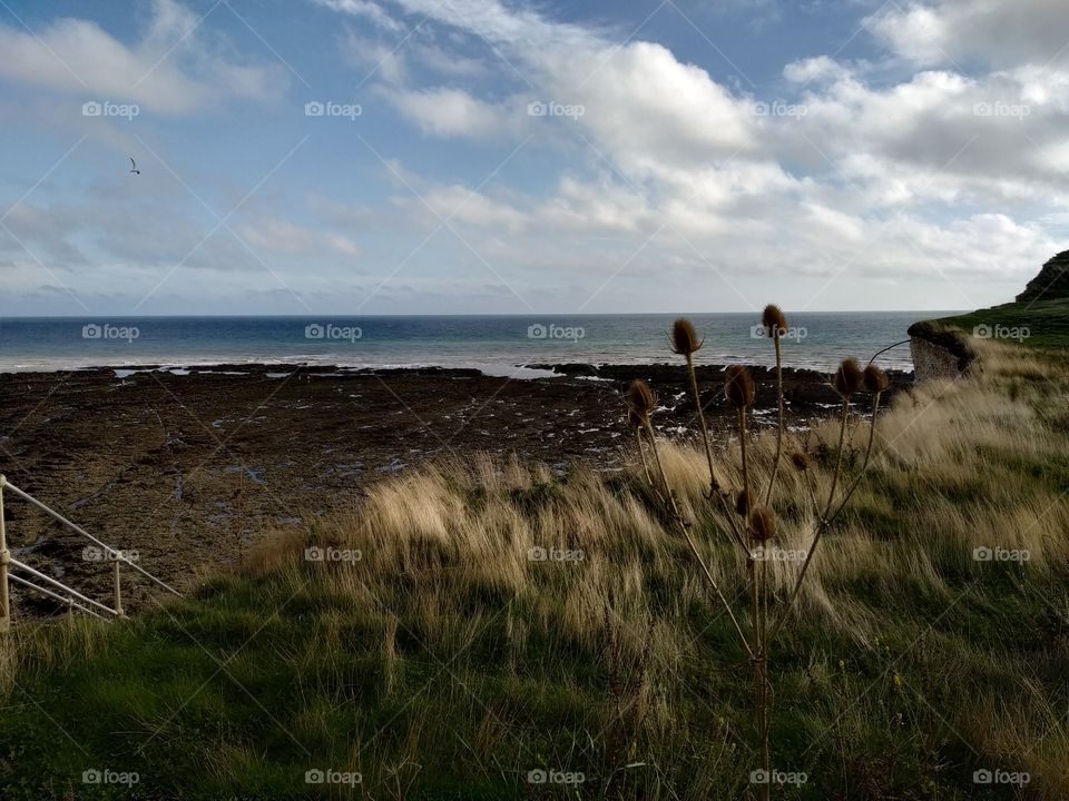 Between heaven and the Sea