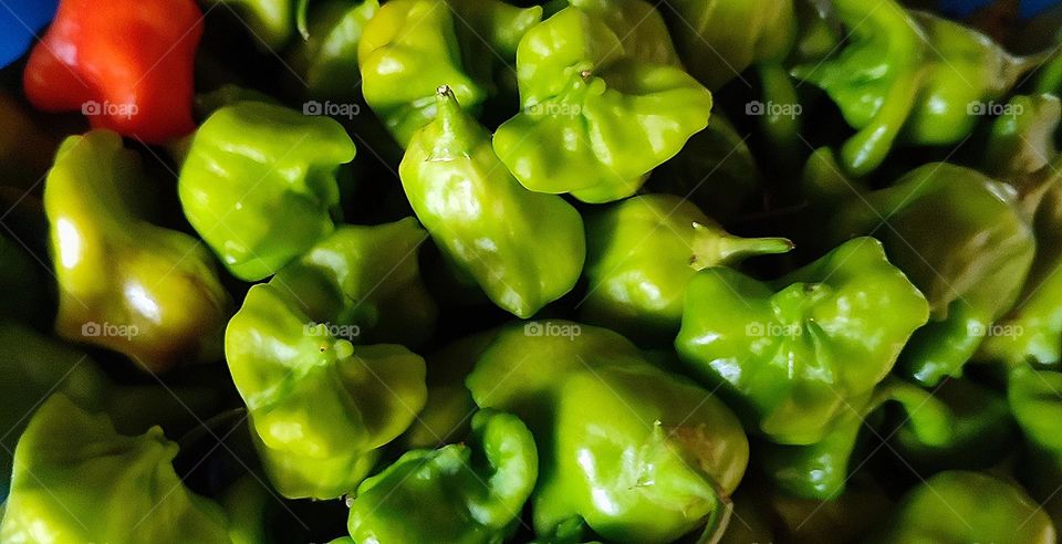 Green and red pepper