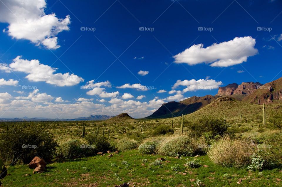 Arizona Landscape