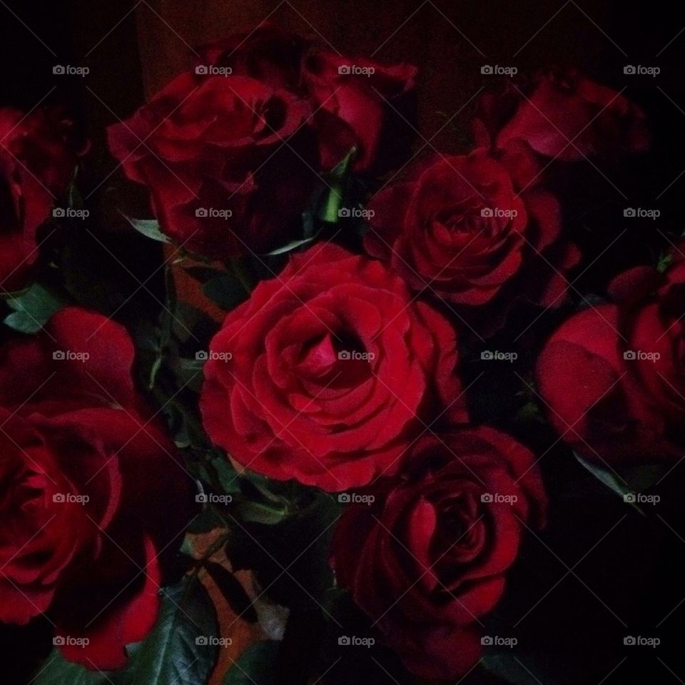 Red roses