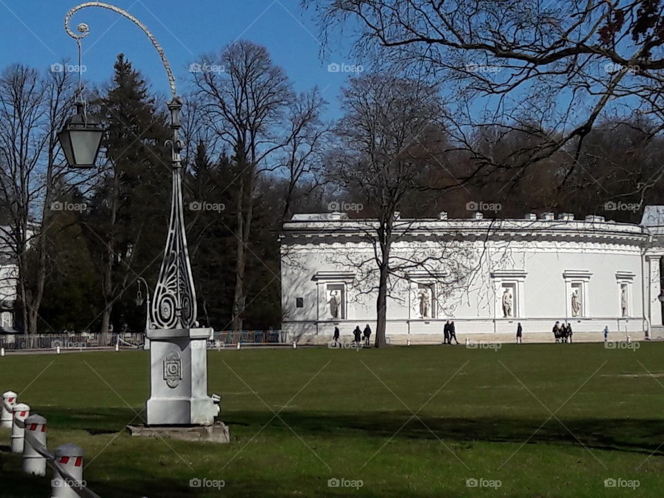 park spring time sun sunny colors colorful nature wild plants flowers amazing stunning cool nice weather hot lovely sky forest grass view splendid