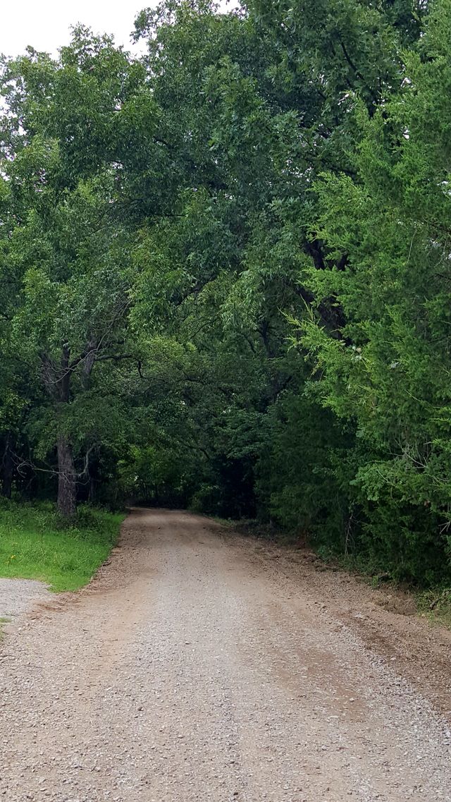 " The Road Home "