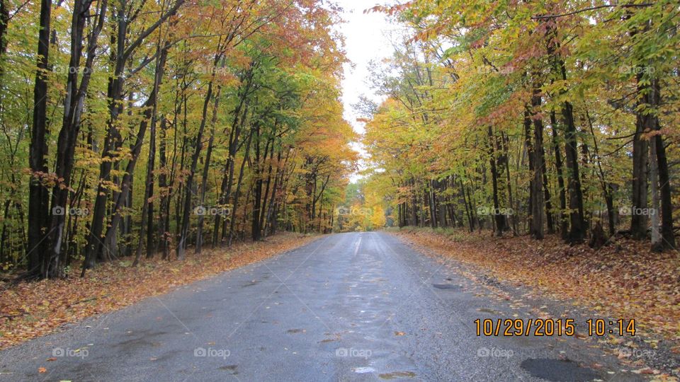 Northern Michigan 