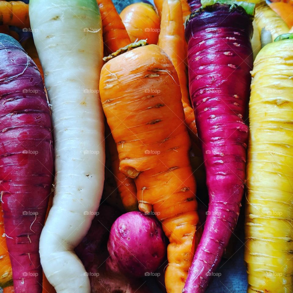 Home Grown Rainbow Carrots