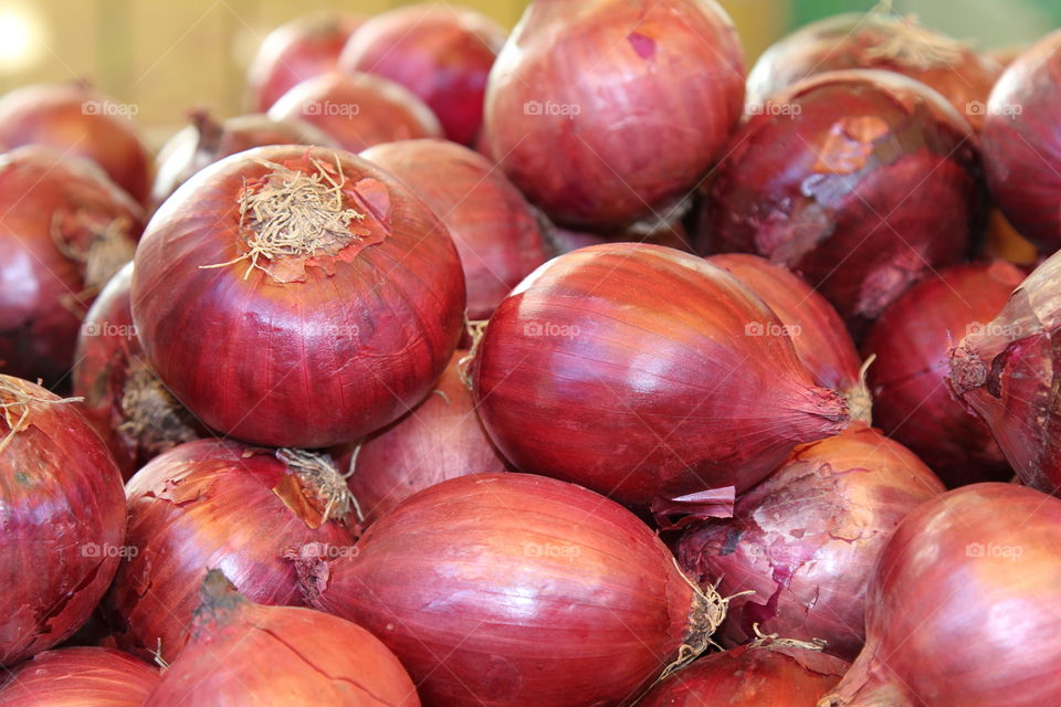 Full frame of onions
