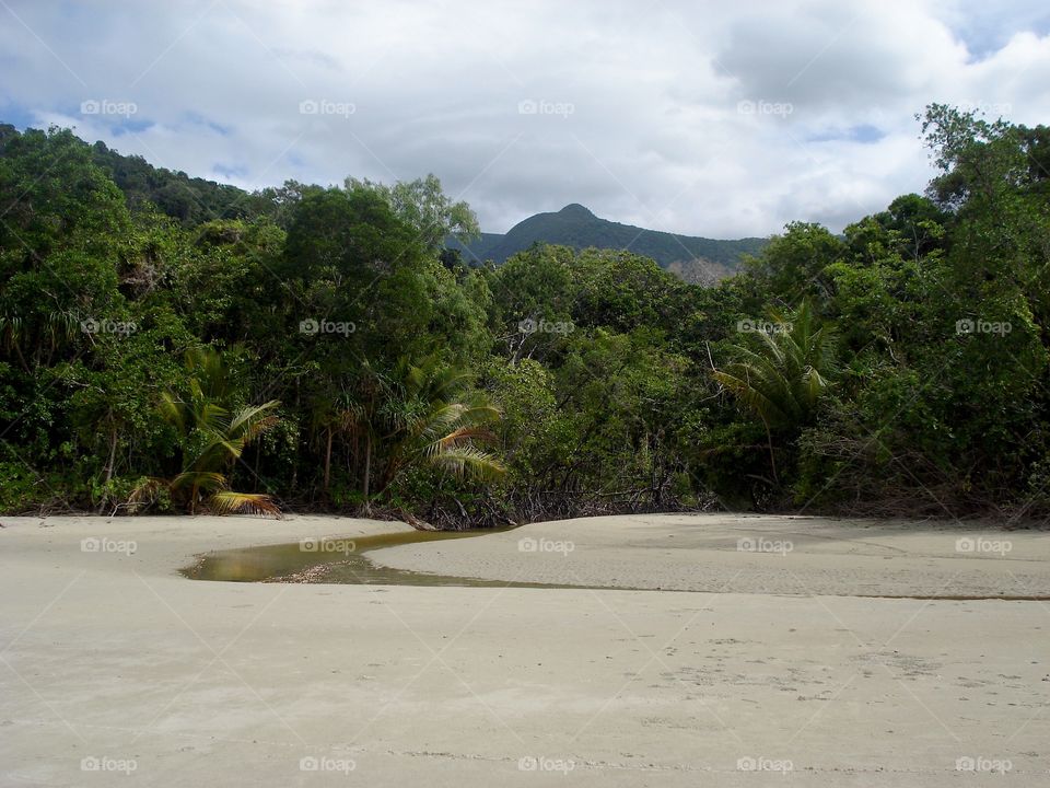 Daintree 1
