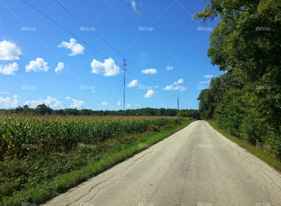 corn field. taken last summer while driving around.