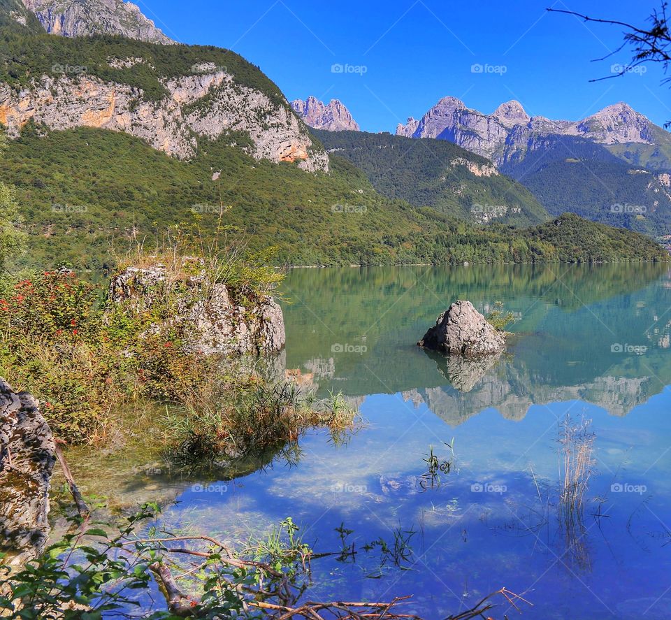 Reflections  in the lake 