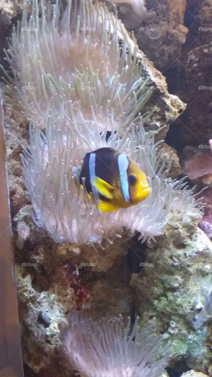 1st we go out...then back in