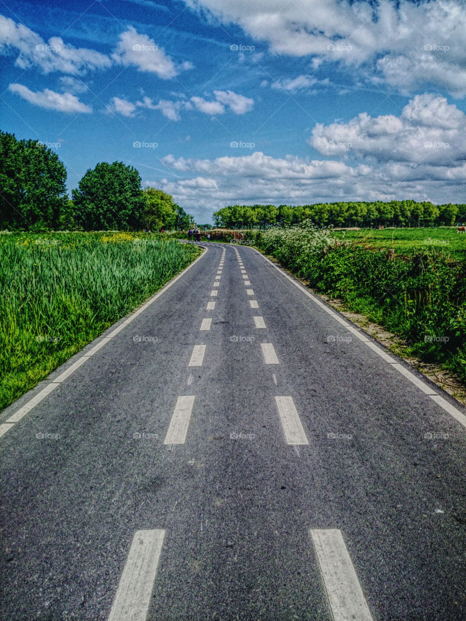 Road . road at the sunny day 