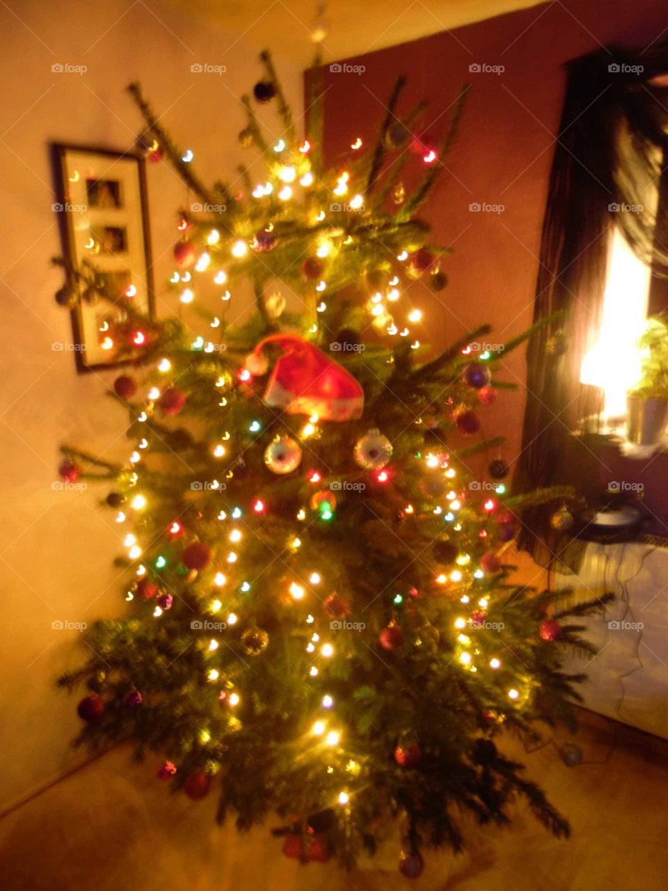 Weihnachtsbaum mit Augen. Christmas tree with eyes.