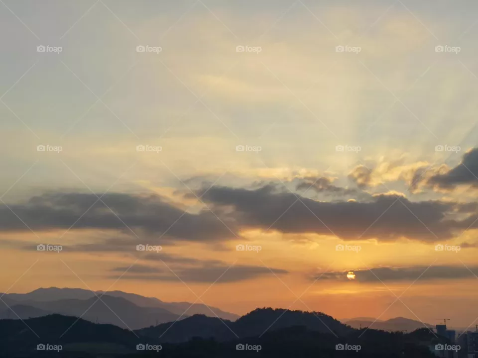 Sunlight