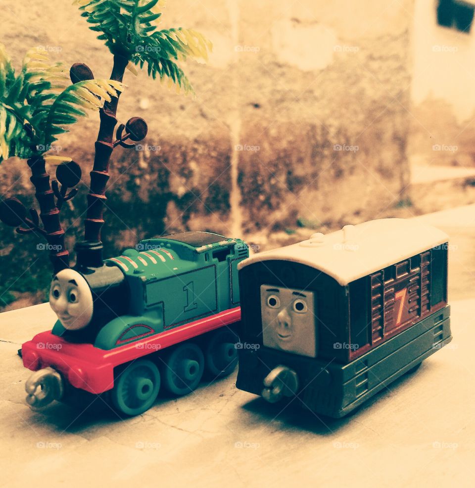 toy photo_thomad and friend to home