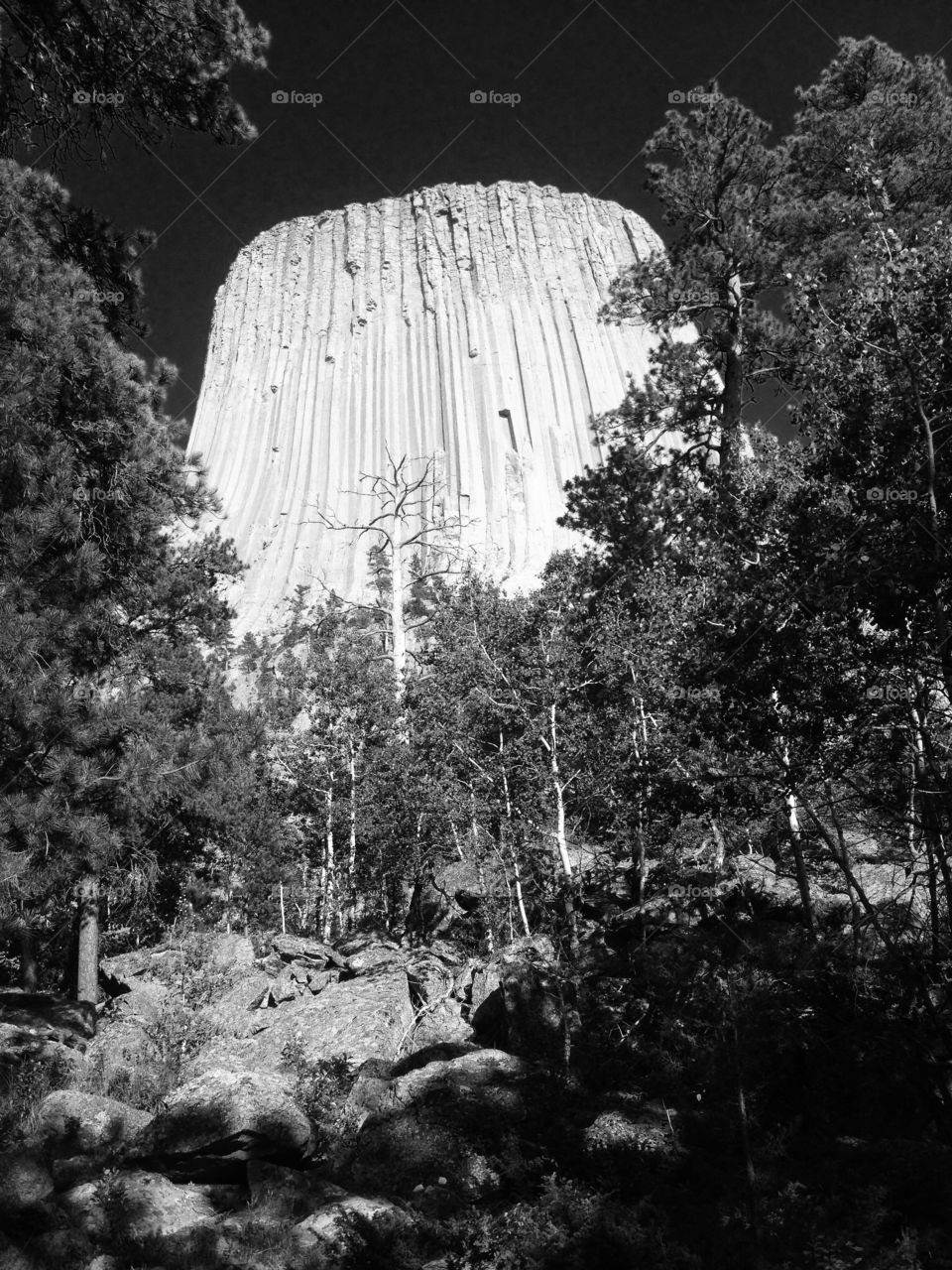 Devils tower b&w. Black and white Devils tower in Wyoming